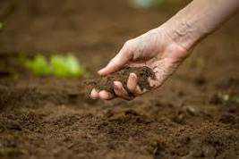 SOIL PREPARATION Technology